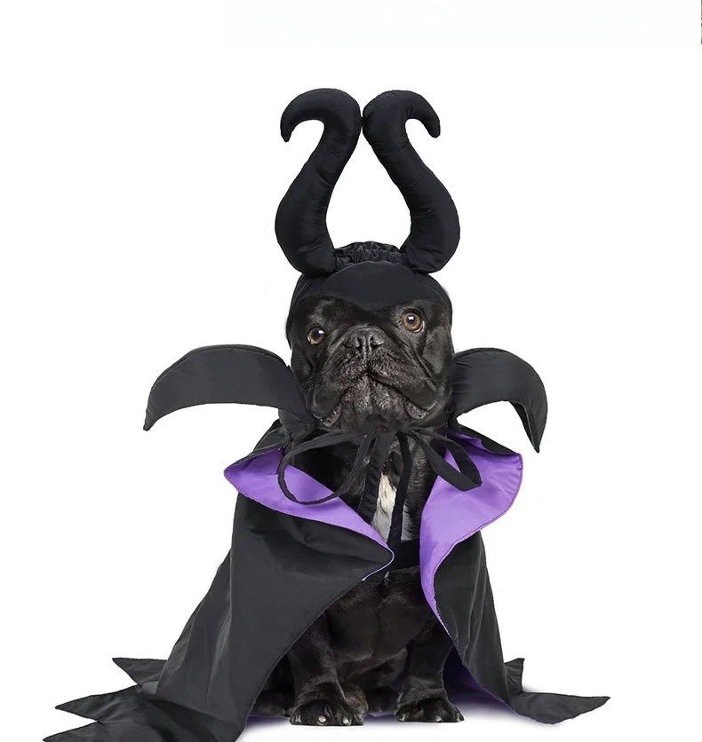 Halloween Dog & Cat Hooded Costume Cloak – Black
