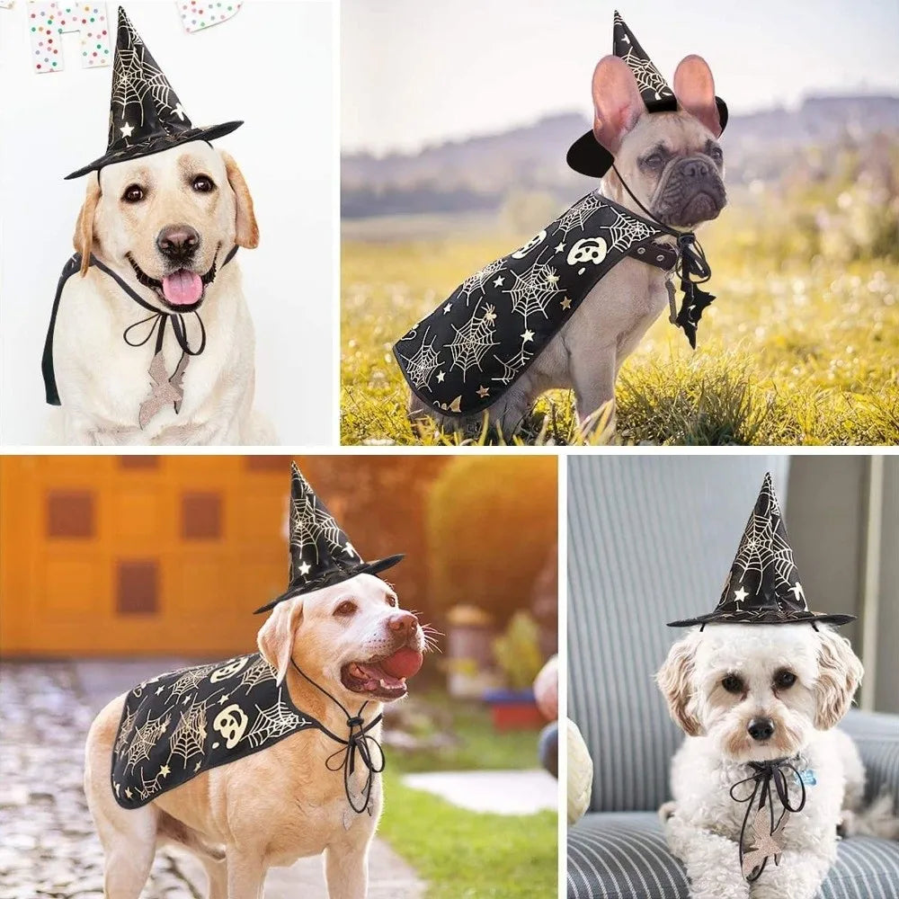 Pumpkin Cloak & Hat Pet Halloween Costume