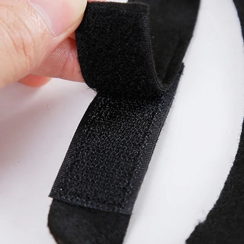 Black Bat Wings Pet Harness Costume