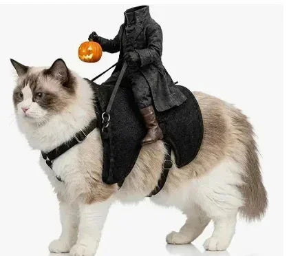 Headless Horseman Pet Halloween Costume