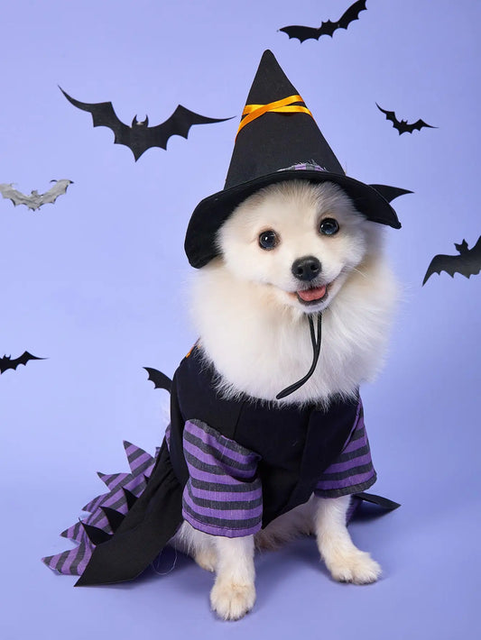 Adjustable Black Halloween Dog Costume – S to XL