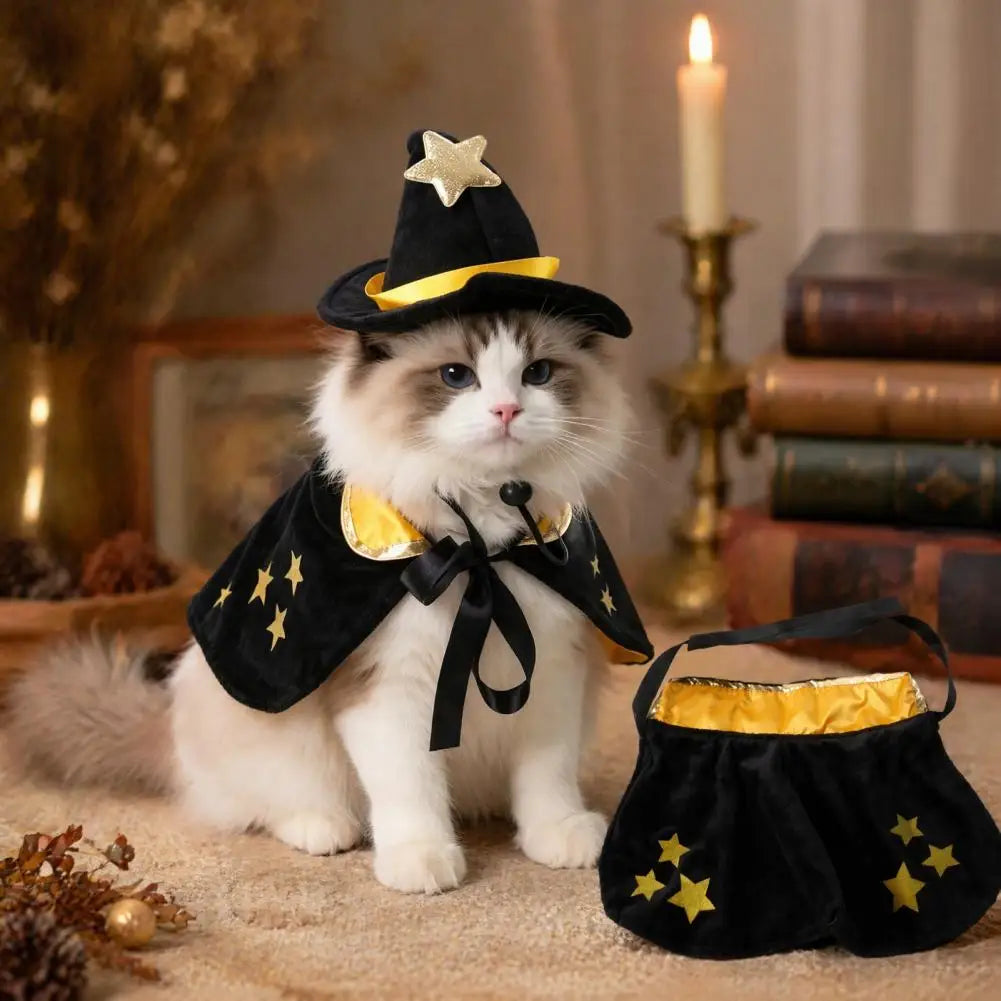 Pet Witch Costume – Cape & Wizard Hat Set
