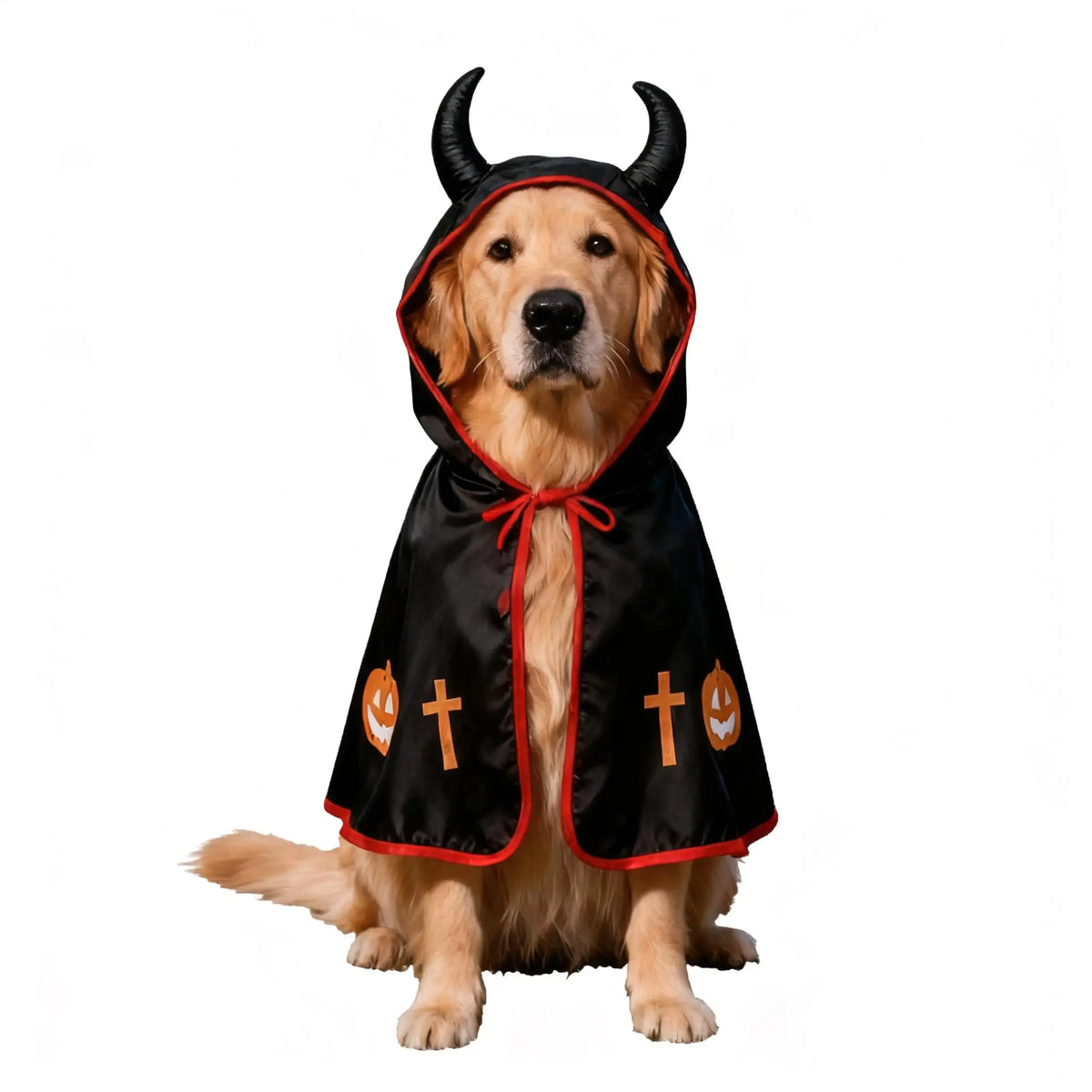 Black Halloween Pet Cloak – Dogs