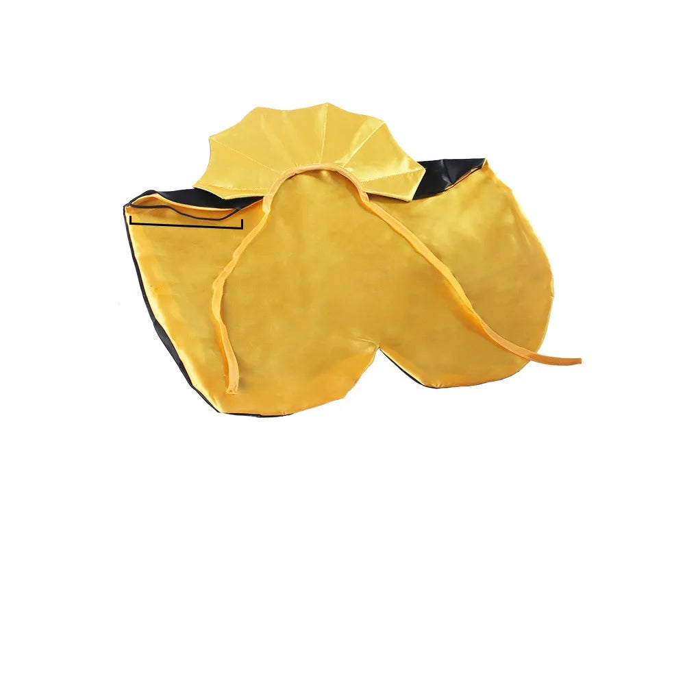 Stand-Collar Halloween Pet Cloak