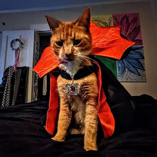 Red Vampire Cape Pet Costume – Dogs & Cats