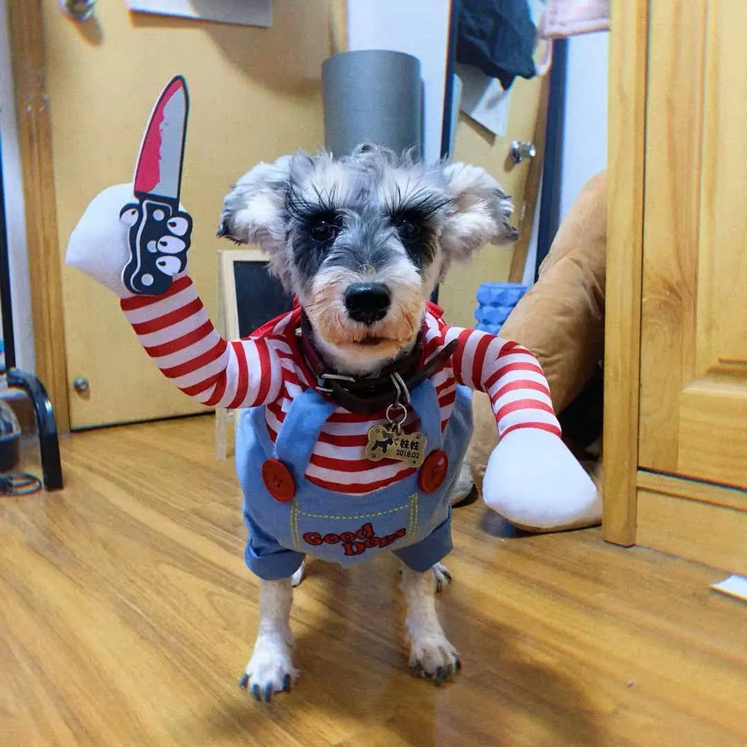 Striped Pet Cosplay Dress – Small & Medium Dogs