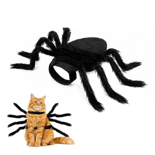 Spider Pet Halloween Costume