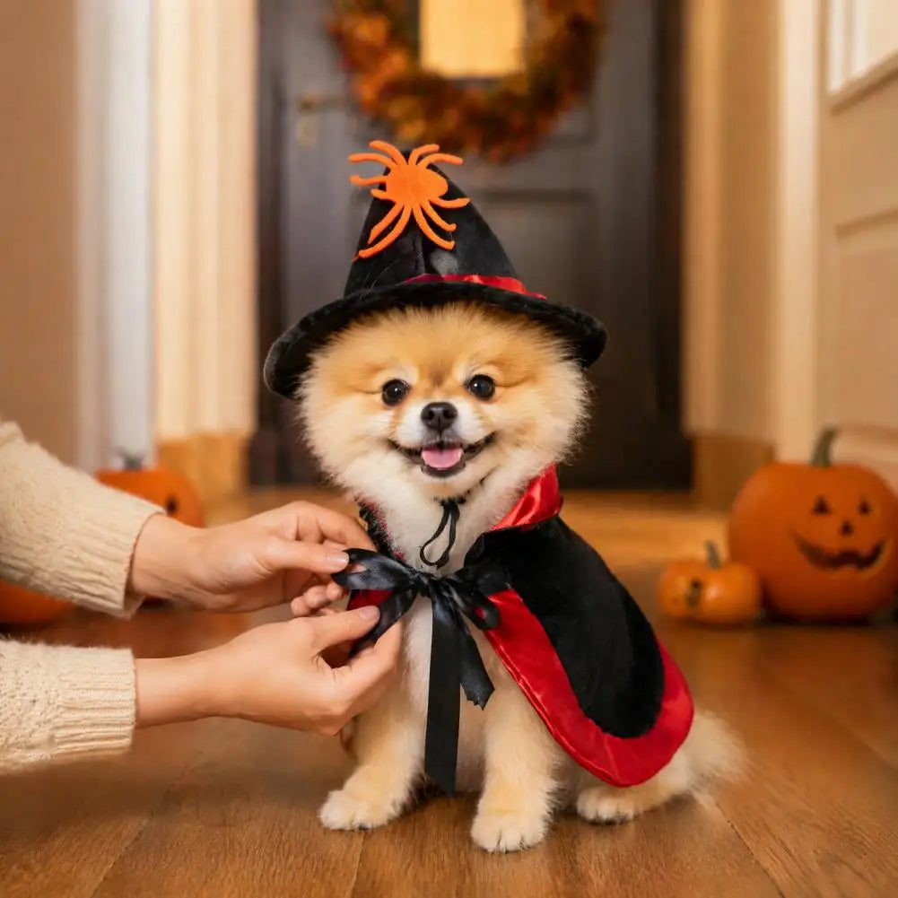 Pet Witch Costume – Cape & Wizard Hat Set