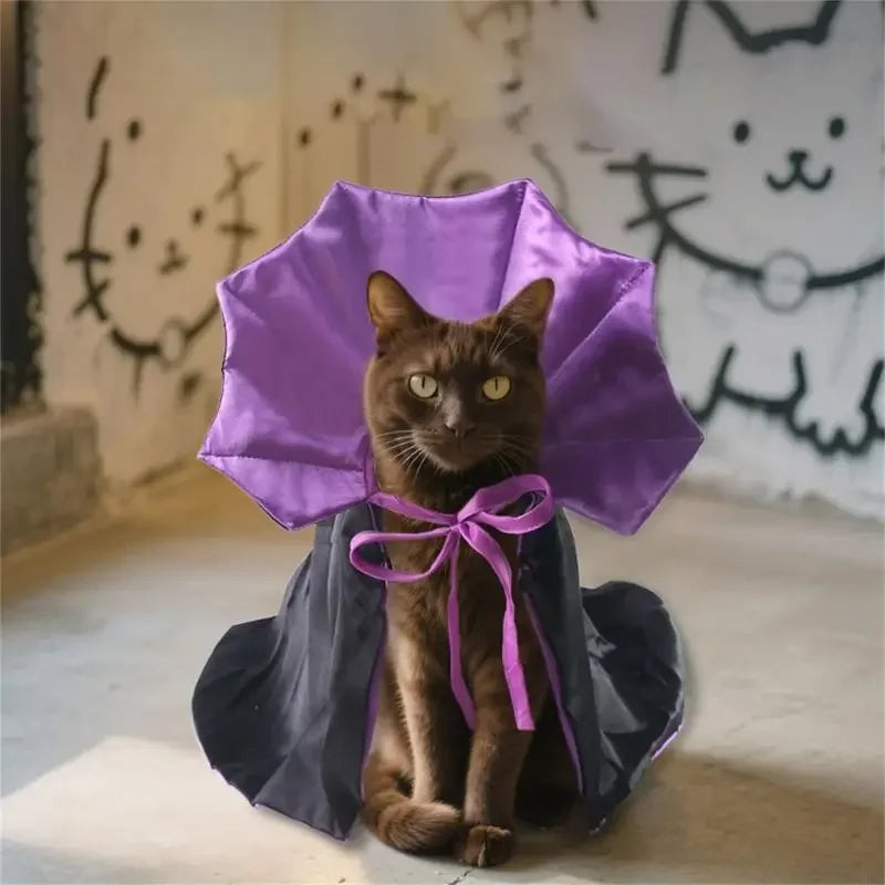 Lace-Up Halloween Pet Cloak