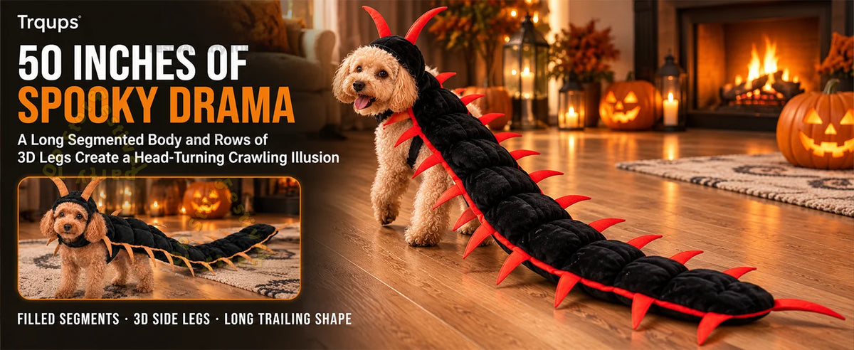3D Centipede Pet Costume – Cats & Small Dogs