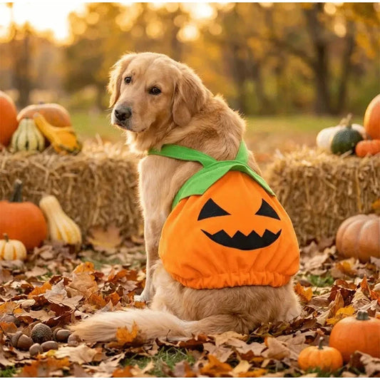 Pumpkin Pet Dress – Halloween Costume for Dogs & Cats
