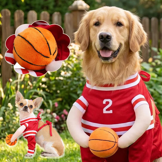 3D Basketball Pet Costume – Dogs