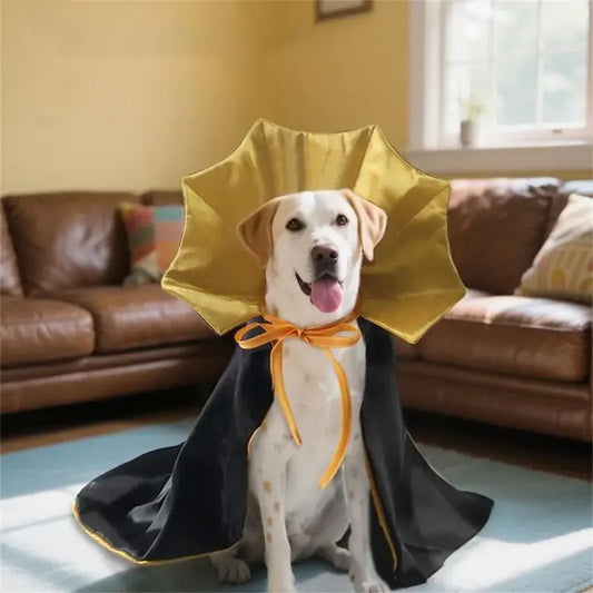 Lace-Up Halloween Pet Cloak
