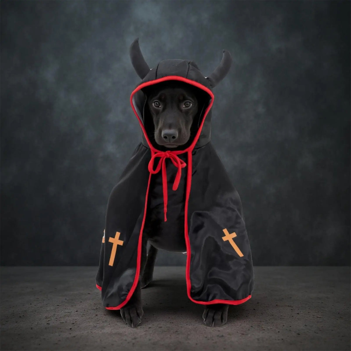 Black Halloween Pet Cloak – Dogs