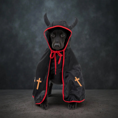 Black Halloween Pet Cloak – Dogs